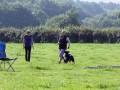 IMG 8848