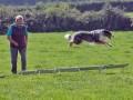 IMG 9060