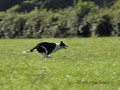 IMG 9347