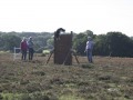 IMG 0240