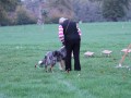 IMG 5222 850x566