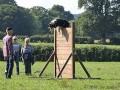 IMG 9422