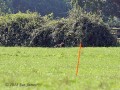 IMG 9428