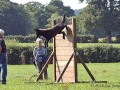 IMG 9437