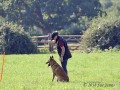 IMG 9441
