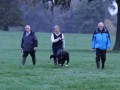 IMG 5141 850x566