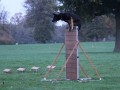 IMG 5196 850x566