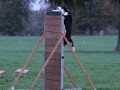 IMG 5212 850x566