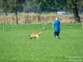 DSC 0881